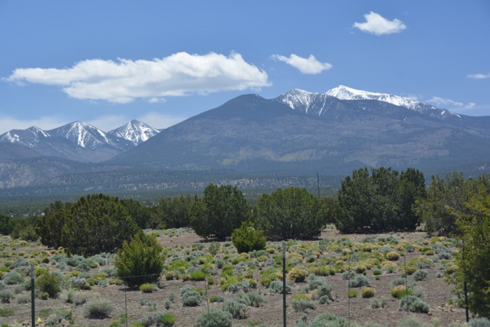 San Francisco Peaks with light snow